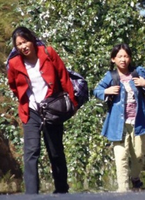 欧美另类综合